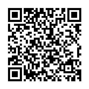 丹麦和瑞典方向还会起飞总计超过300架次的喷气式夜间战斗机群二维码生成