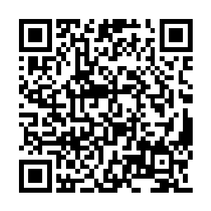 为了防止仍旧在翡翠号深处冬眠的99%的船员苏醒二维码生成