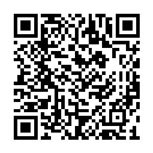 为什么一路上你们五大高手出手的次数屈指可数二维码生成