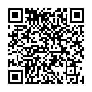 为什么东黎墨老师说这里会有人不希望他跟着自己一起走呢二维码生成