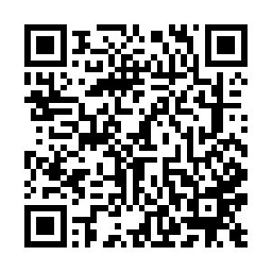 为什么今日你要跟二爷说秋雁芙从你这里打探消息呢二维码生成