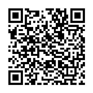 为什么你需要我们花费这么大的精力去搜集他们的比赛数据二维码生成