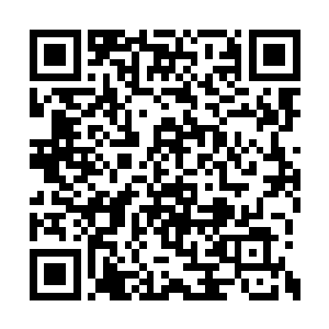 为什么张尚新和石志飞他们要坚决反对这个规划二维码生成