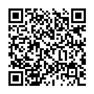 为什么当时原主在介绍剧情的时候没有说到这一点二维码生成