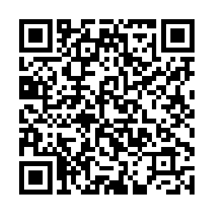 为什么我们两兄弟就不可以在这太夏创下一片基业呢二维码生成