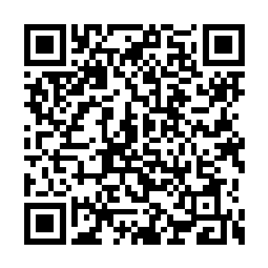 为什么我感觉皇后殿下听到儿子修炼有成的消息二维码生成