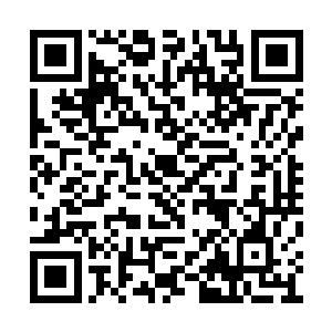 为什么王守冀与崔妮提会好伐无上的出现在这里二维码生成