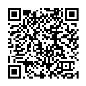 为什么要将宝贵的时间和兵力浪费在赵家堡残部的身上二维码生成