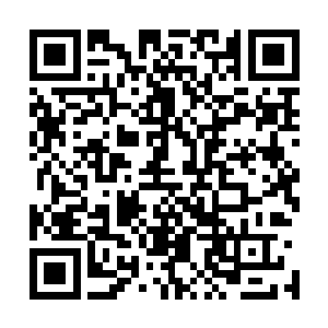 为什么这么一张平凡无奇的脸上会有这般狡黠明亮的眼睛呢二维码生成