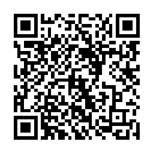 为什么这么可爱的外表下却是那样一颗丑陋不堪的心呢二维码生成