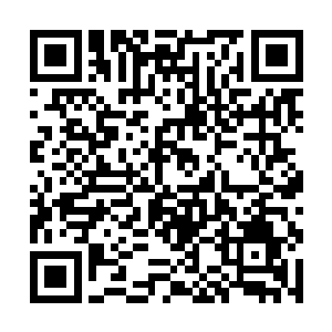 为王室效忠的日子甚至可以追述的继承权之战的年代二维码生成