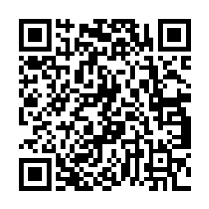 为的就是摸清这一带靠近费率滨的极端宗教武装底细二维码生成