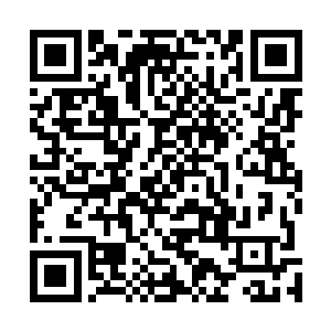 为铁龙宗在地下探寻时间之塔等史前遗迹与各种秘宝……二维码生成