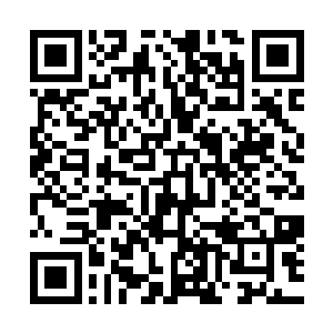 为雨果争取了利益最大化――或者说尽可能地减少雨果的损失二维码生成