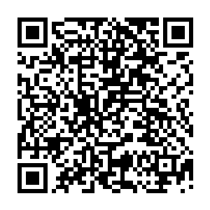为首雷行一族大罗金仙修士见到自己族内的高手竟然被一名天武宗金仙修士震退二维码生成