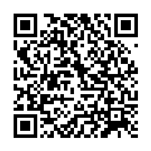 主办方也是需要考虑到收视率――要牢牢抓住观众的注意力二维码生成