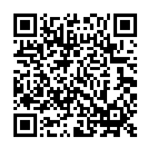 主导煤钢联合会的七个家族所有家族成员的生命可以保存二维码生成
