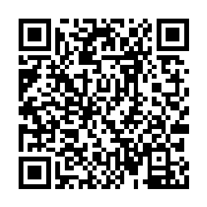 主神后期的修为毫无半点保留的尽数施展了出来二维码生成