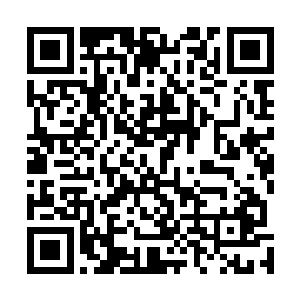 主要是因为大家的行动目标和方向有的时候是不太一样的二维码生成