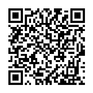 主要还是刚才迈克尔的警觉留给雨果太深刻的印象了二维码生成