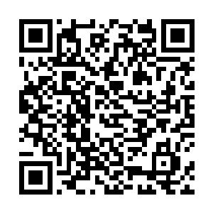 主要还是靠郑东明的天魔煞血炮先把巨目猿轰成了重伤二维码生成
