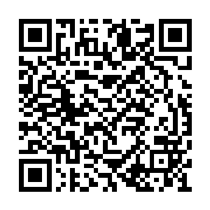 乃是之前在矿洞中曾经布下的聚灵阵的演化阵法二维码生成