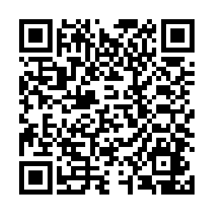 乃是孔子的弟子与再传弟子们总结的孔子或其弟子之言二维码生成