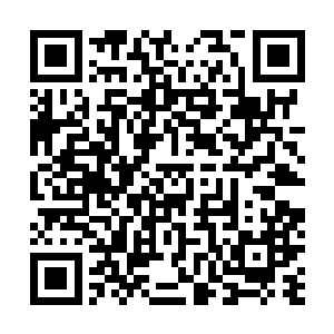 乃是家中长辈耗费精血之力加持在后辈上的一种护身手段二维码生成