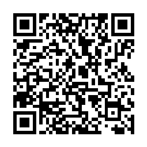 乃至上百万里内都有很多强大的家族纷纷行动了起來二维码生成