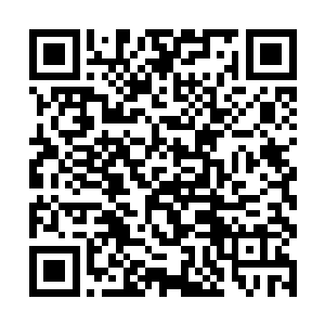 之前他们在某一颗矿星上找到过一个很有意思的东西二维码生成