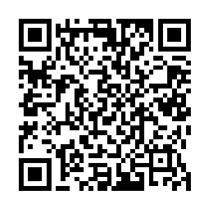 之前他们还想着金在珉这个弟弟会不会真的兽心大发把少二维码生成