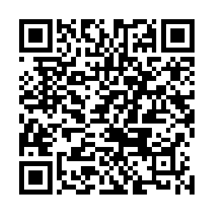 之前他在检查了马杰里的尸体之后便给埃文说出了他的推测二维码生成