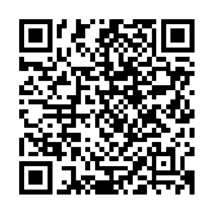 之前他还以为陈昌俊是因为和陆为民不太熟悉不太了解的的原因二维码生成