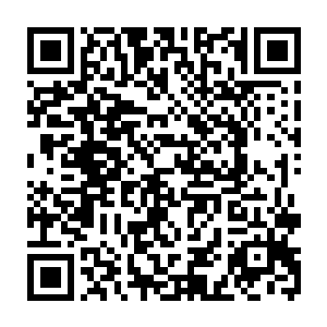 之前以为代离只是弱小可怜的男宠之时都能直接放出柳红袖这样歹毒的大招二维码生成
