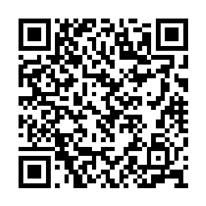 之前受袭击的政府军炮兵团怀疑他们是叛军的人二维码生成