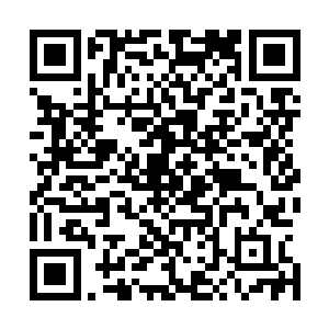 之前可是亡灵大帝付出了巨大代价冒险亲自降临才谈妥的啊二维码生成