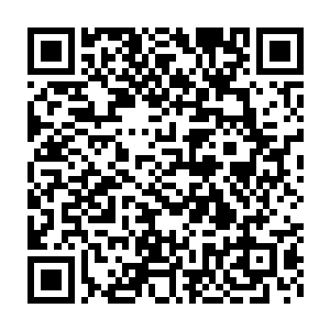 之前在买动物园的时候顺便收的苏格兰折耳猫玉米那是唐慕馨的最爱二维码生成