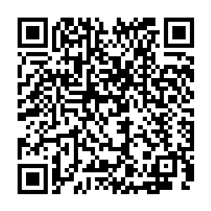 之前在和月夏购买的时候显示出来的投影明明是一只很大的相貌狰狞的大虫子啊二维码生成