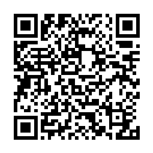 之前在碧晶荒原内第一次施展虚仙体叠加圣炎战体太兴奋了二维码生成