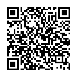 之前她收的一票宠物都只是用修真者的手段收了而已二维码生成