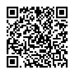 之前我听到你们兄妹二人要去海浪岛寻找你们的父亲二维码生成