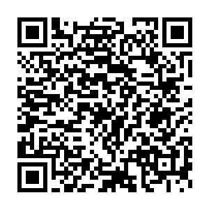 之前抵御了无数红色激光攻击而血肉模糊的手掌此时在慢慢的愈合二维码生成