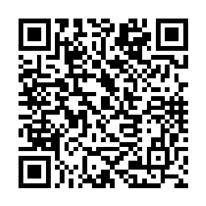 之前明明收到了两个从这片海域中传出来的求救信号二维码生成