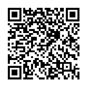 之前没能够将足球砸中门框反弹到罗道脸上的一幕给拍下来二维码生成