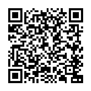 之前流墨墨在金鲨族汇合之前顺便把美人鱼们都偷偷召唤了回来二维码生成