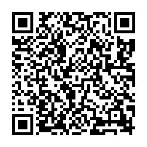 之前的时候龙傲天估计自己等人加上傀儡军团最多两三年的时间就可以搞定二维码生成