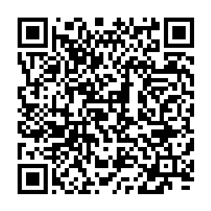 之前的时候龙傲天能够无视宗门的禁空大阵就已经令梦云怡十分的震惊了二维码生成