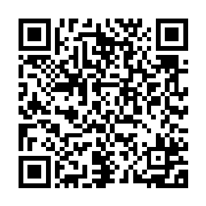 之前的气运测试仪我们也算是对洪大力的运气指数有了一些了解二维码生成