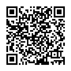 之前的爆炸已经在地面上开出了一个深达十余米的巨大凹陷二维码生成