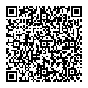 之前的赌约 早在这半个月的时间中化作泡影 若不是风清扬刻意让着龙太子的话 只怕他早就跟丢了二维码生成